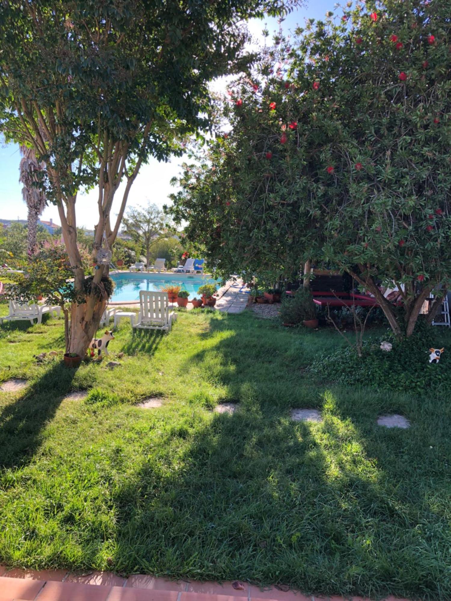 Monte Novo Da Longueira Turismo Rural מראה חיצוני תמונה